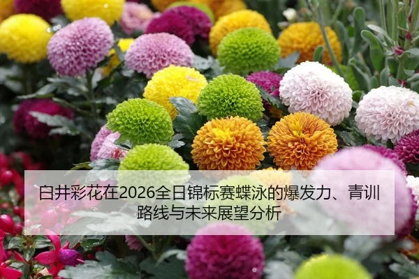bai-jing-cai-hua-zai-quan-ri-jin-biao-sai-die-yong-de-bao-fa-li-qing-xun-lu-xian-yu-wei-lai-zhan-wang-fen-xi-2-730.jpg